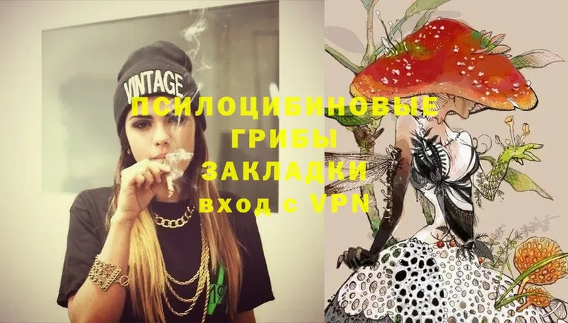 Галлюциногенные грибы MAGIC MUSHROOMS  Камбарка 